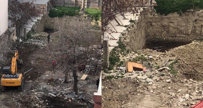 Təhsil nazirliyinin gözü qarşısında ağac “soyqırımı” - FOTO