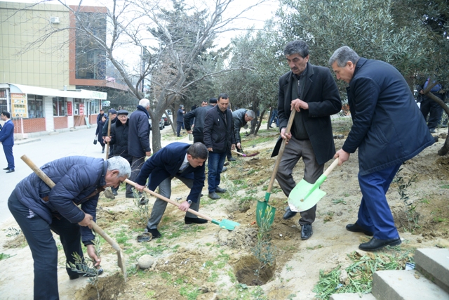 Nəsimi rayonunda iməcilik keçirildi