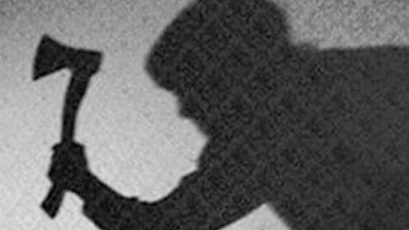 Ermənistanda oğul 88 yaşlı anasını balta ilə qətlə yetirdi