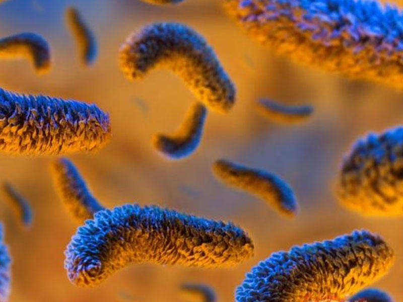 Bədəndə PARAZİT olduğunu göstərən kritik siqnallar