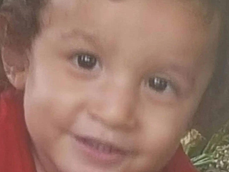 Rotveyler iki yaşlı oğlanı parçalayıb, öldürdü - FOTO