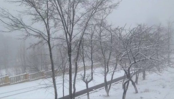 Şamaxıya qar yağır - VİDEO