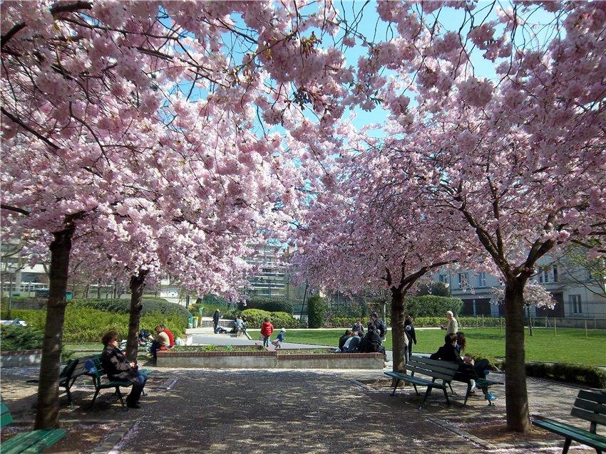 Минэкологии Азербайджана о погоде в апреле