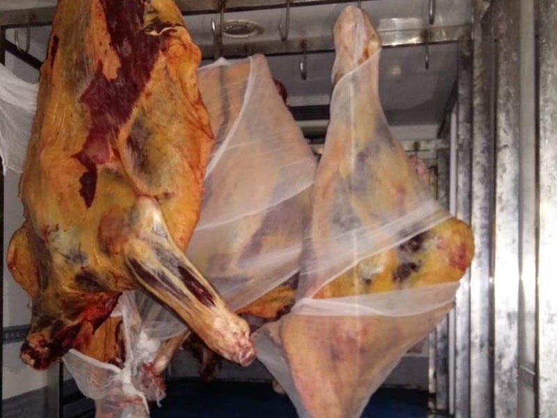 Ağdaşda mənşəyi məlum olmayan 534 kq ət aşkar olunub - FOTO