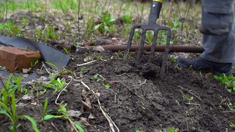 25 yaşlı gənci tikə-tikə doğradılar, meyitini üç rayonda basdırdılar - Azərbaycanda tükləri BİZ-BİZ EDƏCƏK OLAY