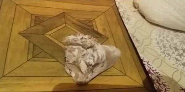 Azərbaycanda un kisəsindən heyvan sümüyü çıxdı (VİDEO)