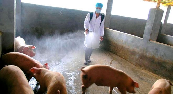Donuzun BEYNİNİ çıxarıb APARATA QOŞDULAR - ŞOK hadisə yaşandı