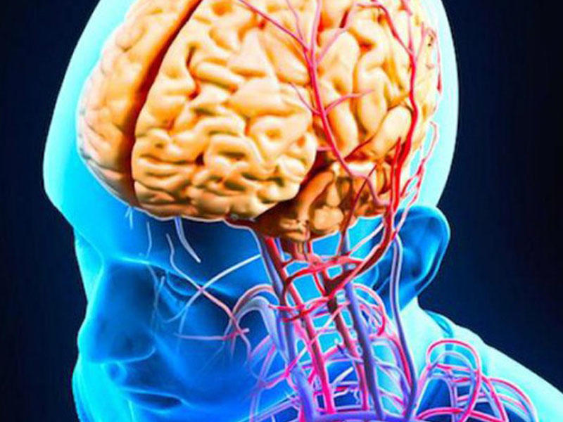 Beyini qocalana qədər cavan saxlamaq üçün nə etməli? - Məşhur akademikdən 5 tövsiyə