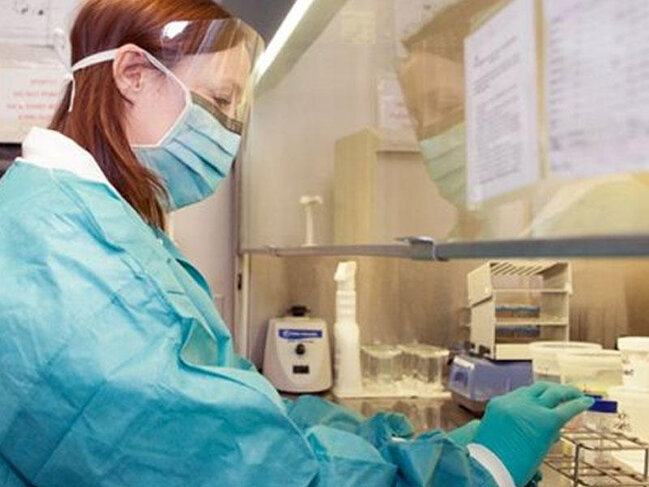 Alimlər ölmüş beyin hüceyrələrini bərpa etdilər - 4 saat sonra