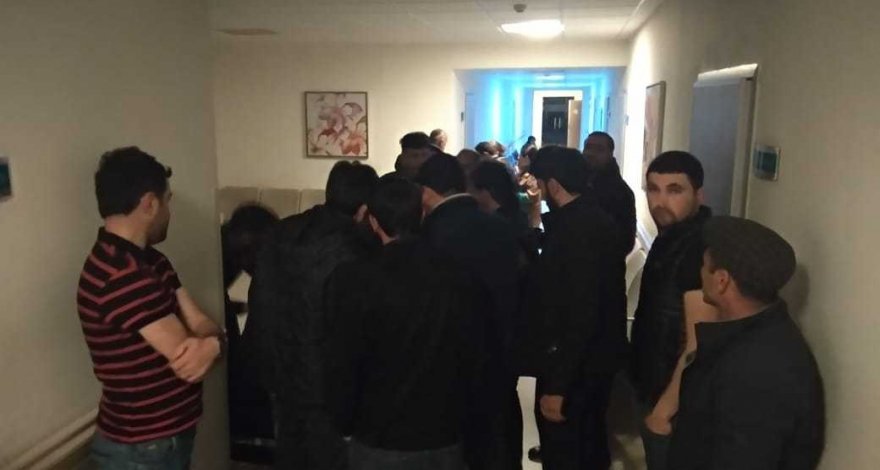 В Лянкяране бешеные собаки покусали 9 человек – ВИДЕО