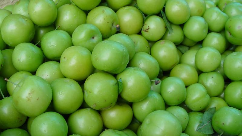 Alçanın kilosu 100 dollara satılır - İranda