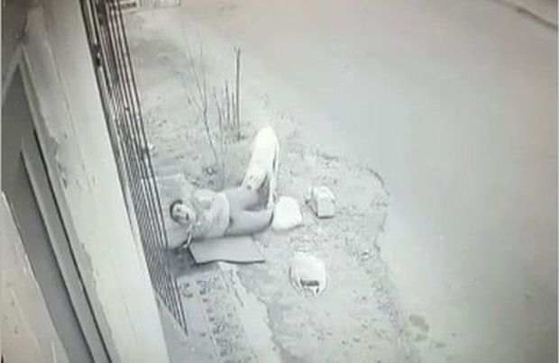 Покусанная собакой женщина: У меня не было денег на врача - ВИДЕО