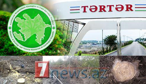 TƏRTƏRDƏ KÜTLƏVİ EKOLOJİ TERROR: “80 illik ağaclar belə qırıldı, icra və Ekologiya nazirliyi susdu” – ŞİKAYƏT+FOTOLAR