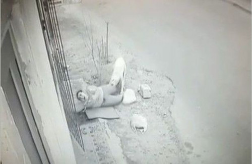 Bakıda dəhşətli görüntülər: it qadını parçaladı - VİDEO