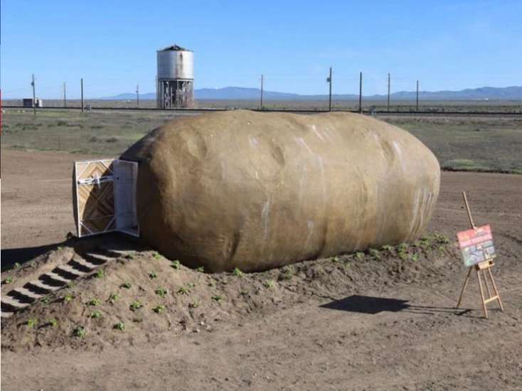 Gecəsi 200 dollar: Kartofa oxşayır, amma...- FOTOLAR