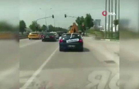 Gəlin maşını sandılar - Üzərindəki yazını oxuyanda şok oldular - VİDEO