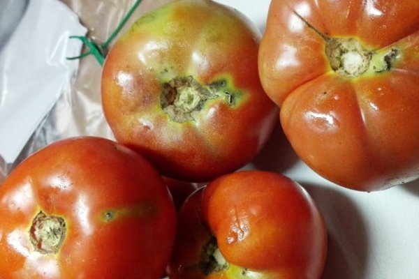 В Россию не пустили помидоры из Азербайджана