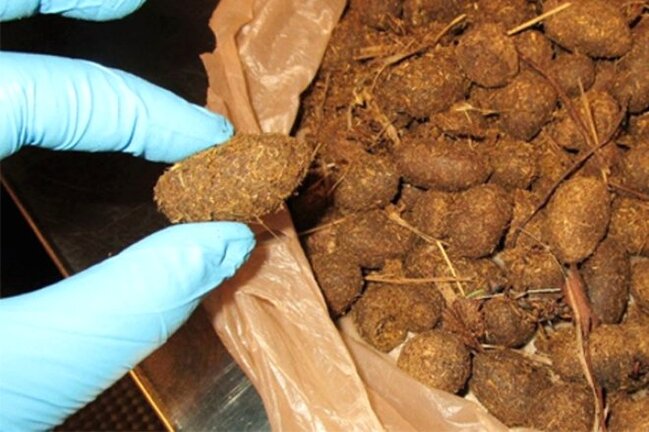 Çemodanından baxın nə çıxdı? Heç kim inanmadı/ FOTOLAR