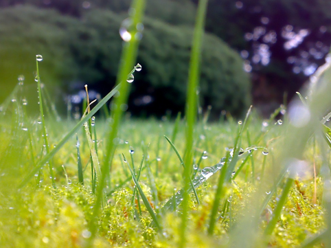 Yağış yağacaq - Sabahın HAVAsı