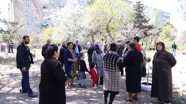 “Yaşıl soyqırımı”: İşıqları söndürüb ağacları kəsdilər - VİDEO