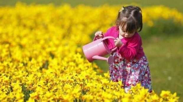 Sinoptiklər 32 dərəcə isti vəd edirlər