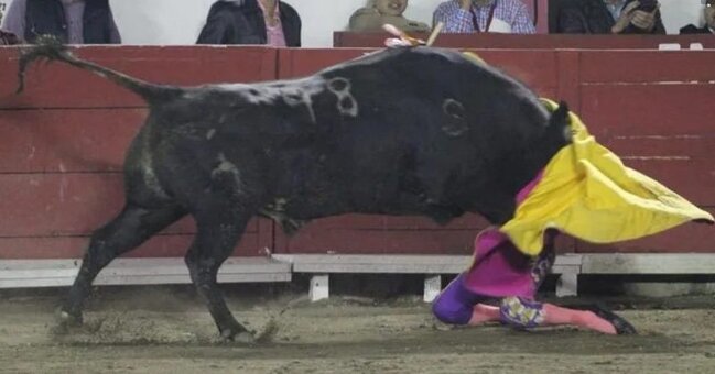 500 kiloqramlıq öküz qadın matadoru əzişdirdi – Video