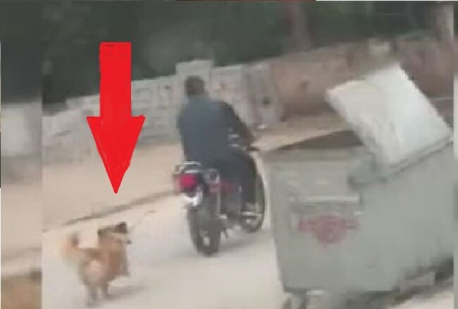 Vəhşiliyin beləsi GÖRÜLMƏYİB: İti motosikletə bağladı və...- VİDEO