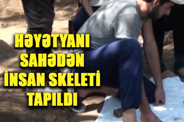 Həyətyanı sahədə qazıntı apararkən insan skeletləri tapılıb - VİDEO