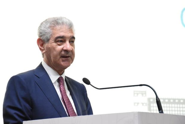 Əli Əhmədov: Ölkəmizə qarşı kampaniya aparanlara böyük zərbə vurulacaq