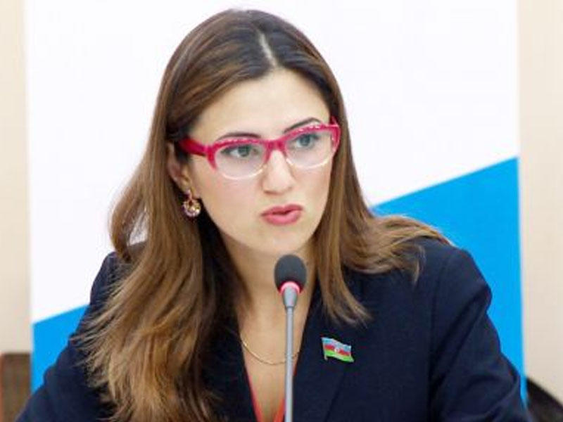 Ermənistan həqiqətən sülh istəyirsə, bunu etməlidir - Sevinc Fətəliyeva