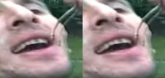 Azərbaycanda ŞOK! Gənc oğlan ilanı belə udur-VİDEO