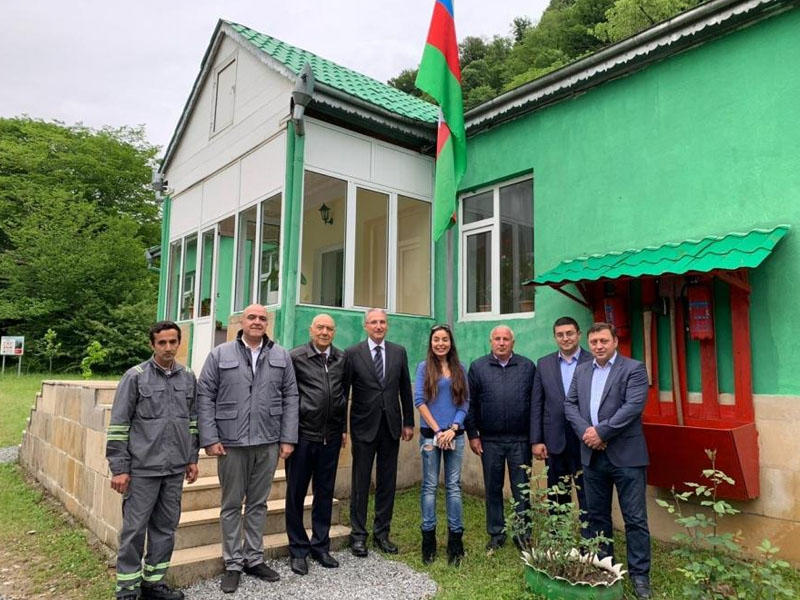 Лейла Алиева посмотрела на зубров – ФОТО