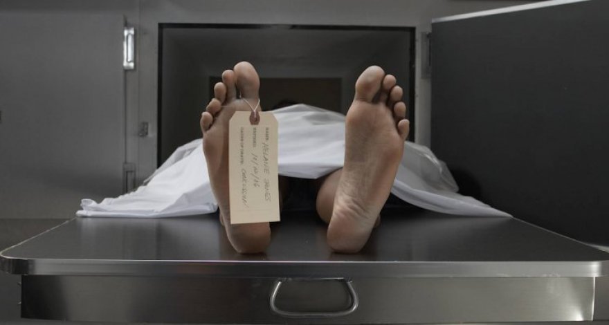 В штате Вашингтон разрешили перерабатывать тела умерших людей в компост