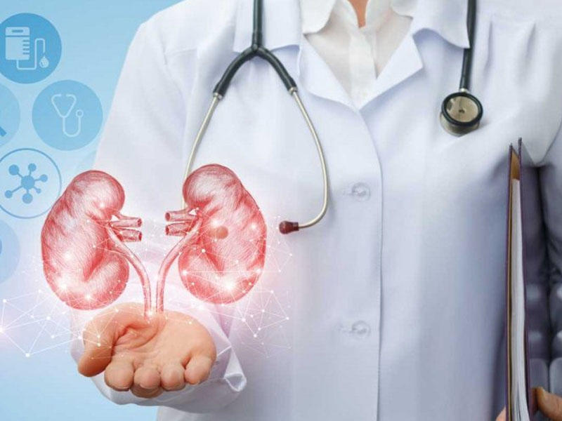 Böyrəyində problem olanlar, DİQQƏT! – BU YAZI SİZİN ÜÇÜNDÜR