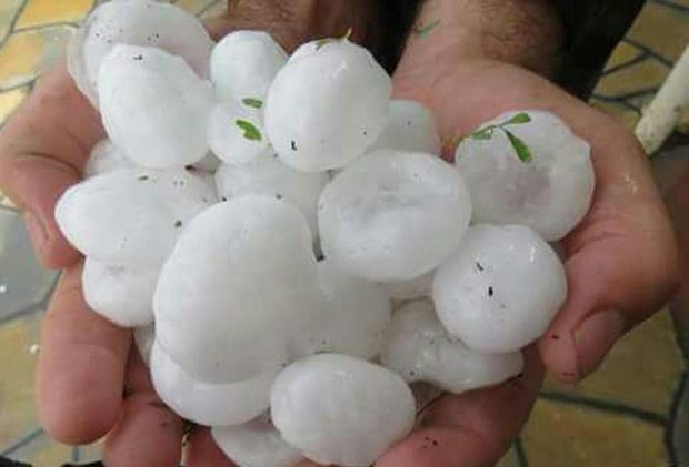 Goranboya güclü dolu yağıb - FOTO