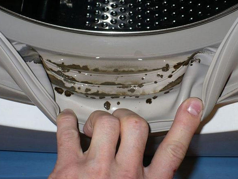 Paltaryuyan maşını kifdən qorumağın ən sadə üsulu