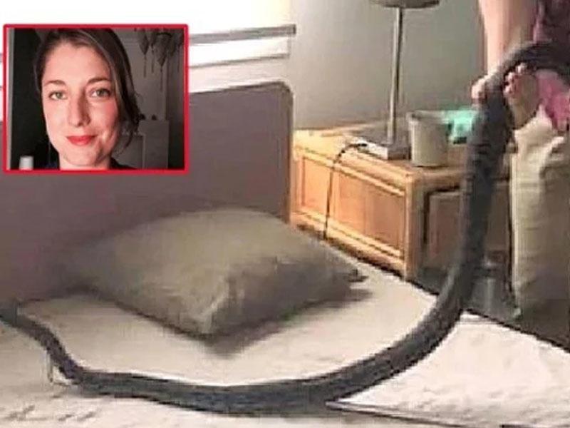 Qadın yuxudan oyandı, piton ilanla göz-gözə gəldi