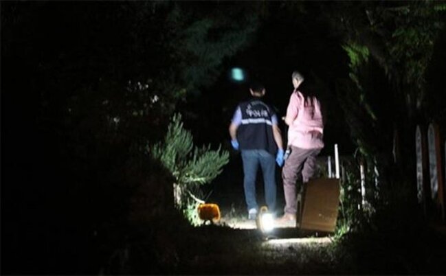 Gecə məzarlıqda itlərini axtaran uşaqlar ŞOK MƏNZƏRƏ ilə qarşılaşdı - VİDEO