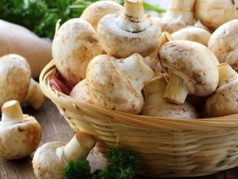 Mütəxəssislərdən ŞOK XƏBƏRDARLIQ: Meyvə, tərəvəzi, qarpızı və lobyanı...