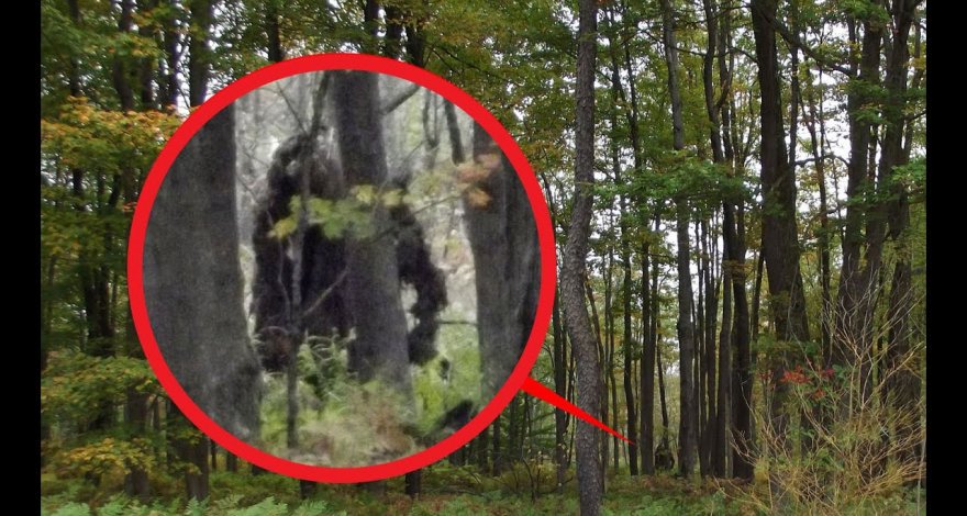 ФБР рассекретил доклад касательно снежного человека