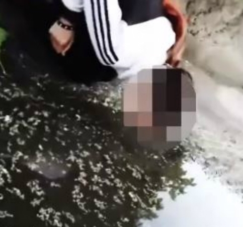 Банда школьниц заставила девушку пить из лужи - ВИДЕО