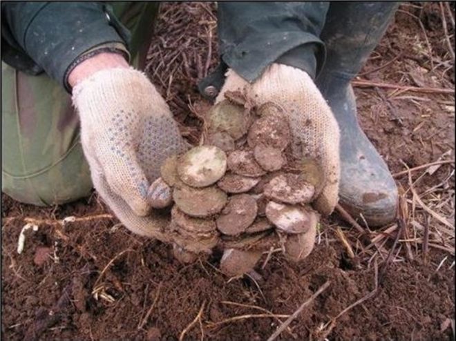 Evinin bağçasında tapdı - MİLYONÇU OLDU - FOTOLAR