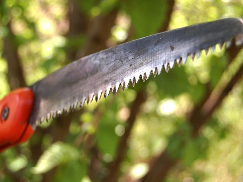 Kişi onunla yatmaq istəməyən sevgilisini öldürüb, sonra cəsədini zorladı - FOTO