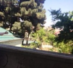 BADAMDARDA POLKOVNİKİN TORPAĞINI SATANLAR… – “Bu dəstə ilə bağlı niyə tədbir görülmür?”