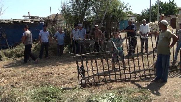 Sabirabadda manyak peyda olub - FOTO