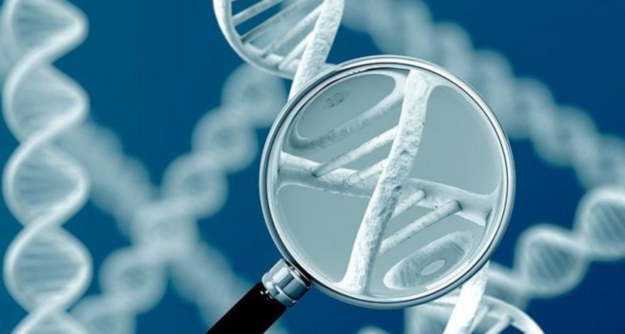 Врачи выяснили, может ли рак передаваться по наследству