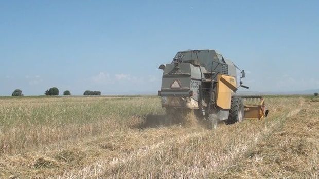 34-летний мужчина попал под комбайн