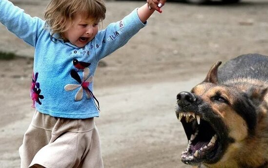 Azərbaycanda DƏHŞƏT - Ana özünü körpəsini parçalayan itin qarşısına atdı