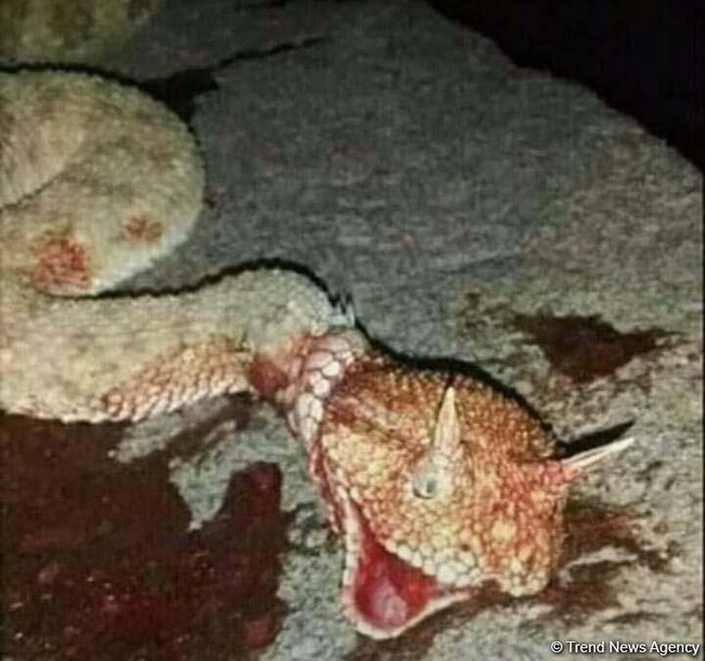 Ağsu aşırımında dəhşətli anlar - 