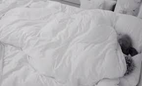 İngiltərədə biabırçılıq — Müsabiqə iştirakçıları canlı yayımda cinsi əlaqəyə girdilər (VİDEO)